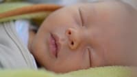 mimino child-3308816 1280